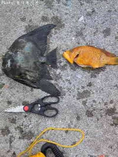 ���祦���祦������