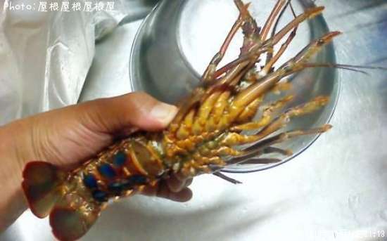 ������Ϸ�����