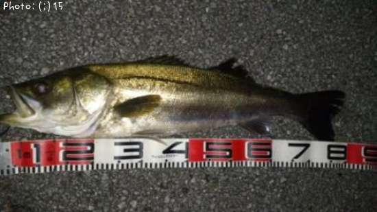 �����Ф�