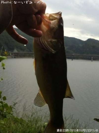 �֥�å��Х�