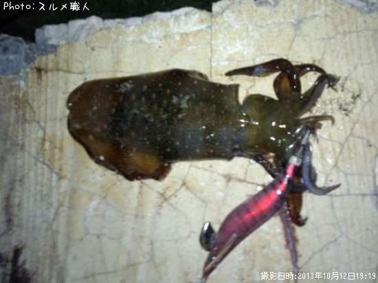 �����ꥤ��