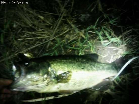 �֥�å��Х�