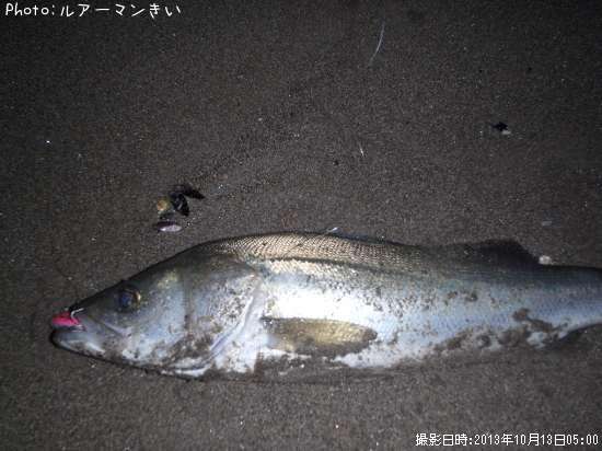 �����Х�