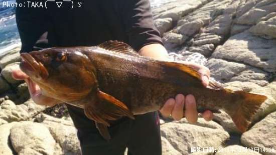 �����ʥ�