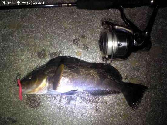 �����ʥ�