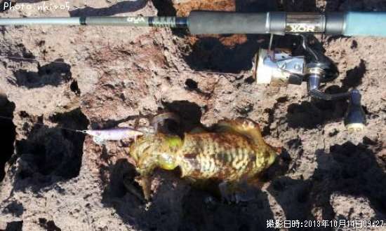 �����ꥤ��