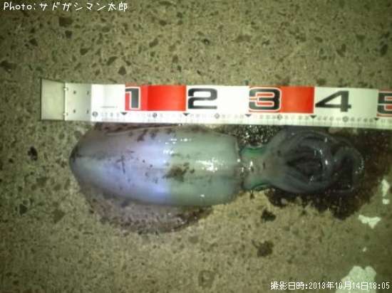 �����ꥤ��