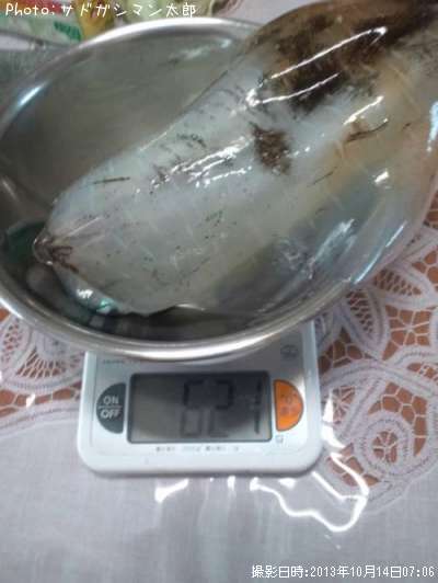 �����ꥤ��