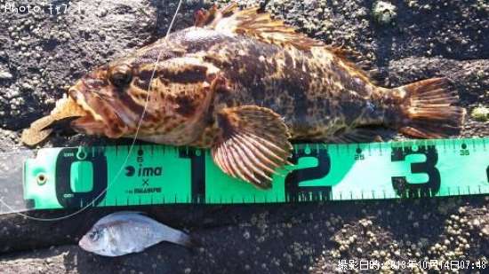 �����Υ���Х�