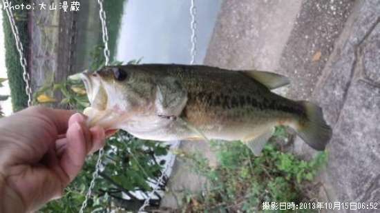 �֥�å��Х�