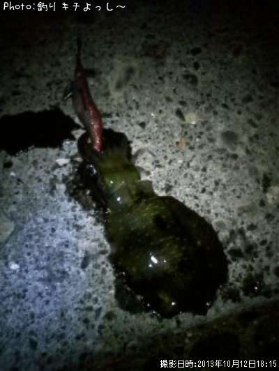 �����ꥤ��