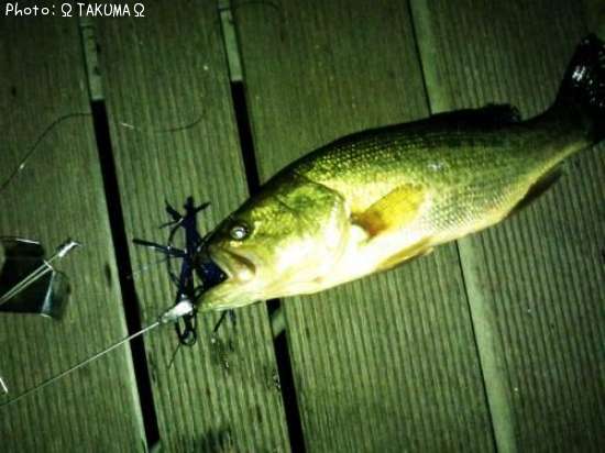 �֥�å��Х�