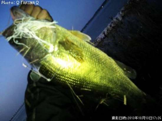 �֥�å��Х�