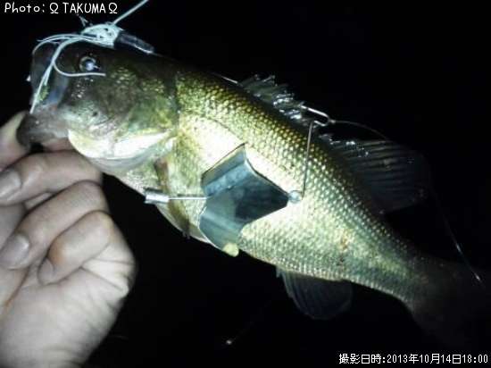 �֥�å��Х�