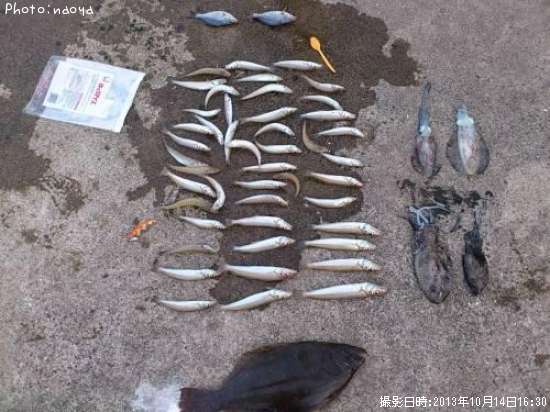 �����ꡢ�����������ҥ�ᡢ����