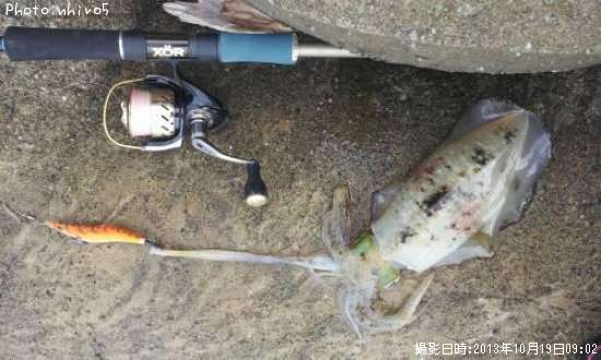 �����ꥤ��