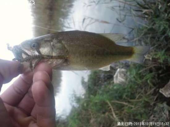 �֥�å��Х�