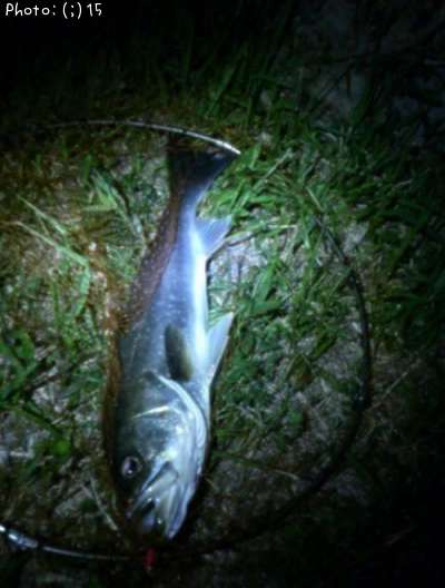 �����Ф�