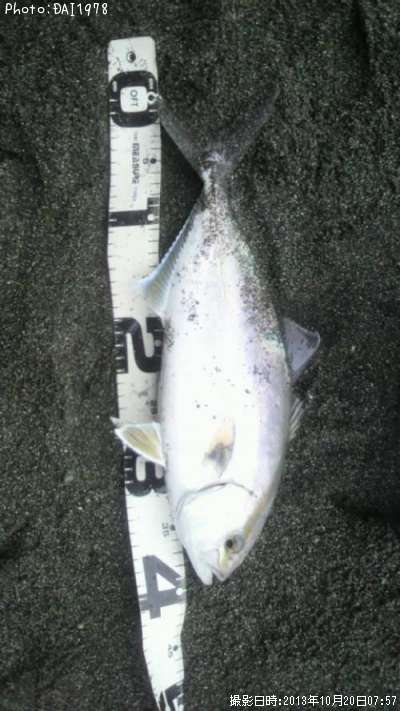 ���祴�ߣ�