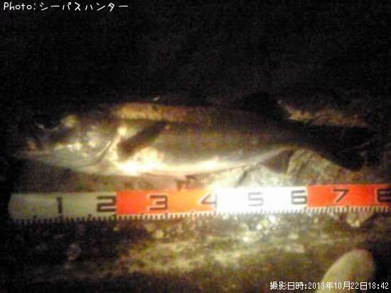 �����Х�