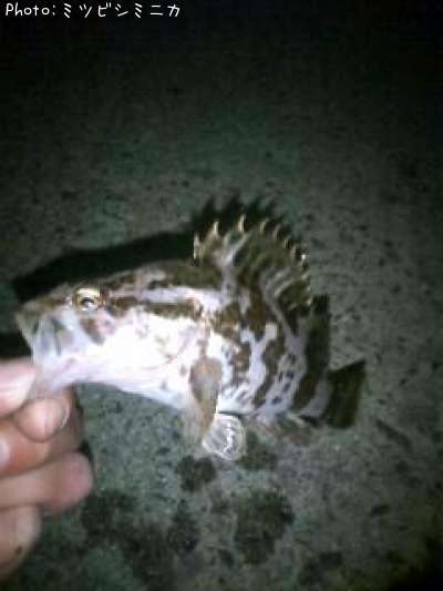 �����Υ���Х�