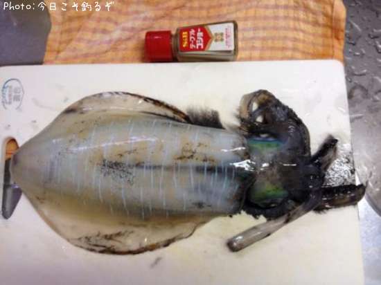 �����ꥤ��