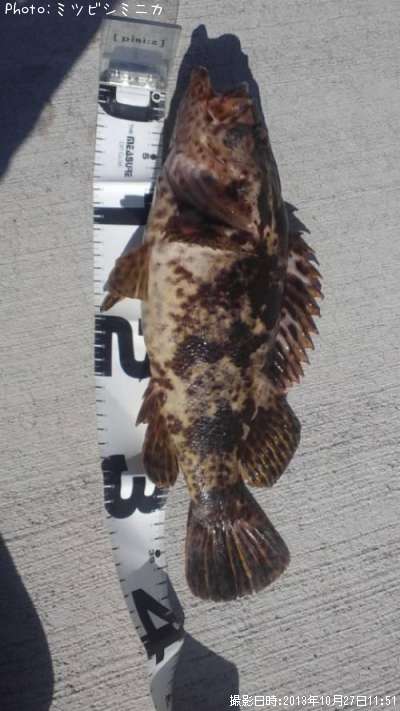 �����Υ���Х�