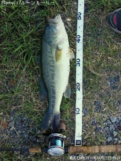 �֥�å��Х�