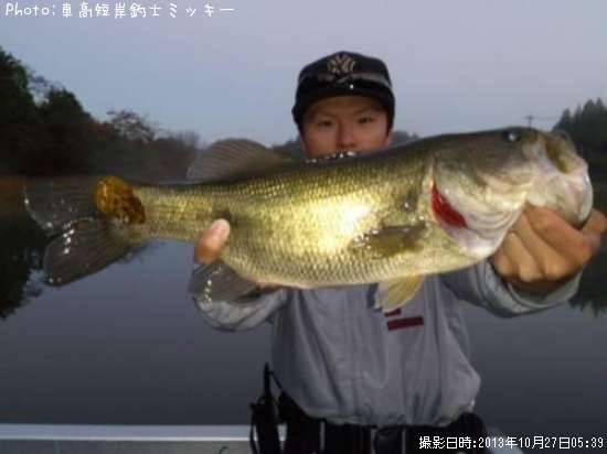 �֥�å��Х�