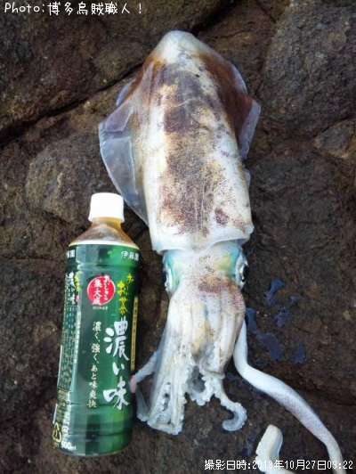 �����ꥤ��