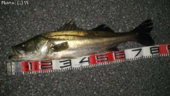 �����Ф�