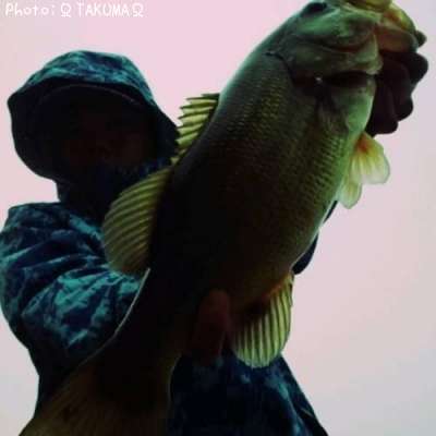 �֥�å��Х�