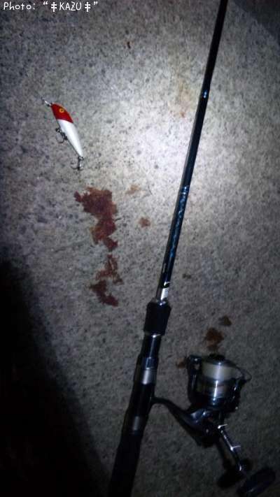 �����Х�