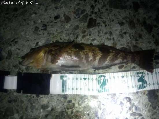 �����ʥ�