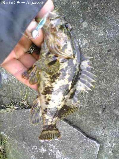 �����Υ���Х�