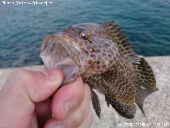 �������ϥ�