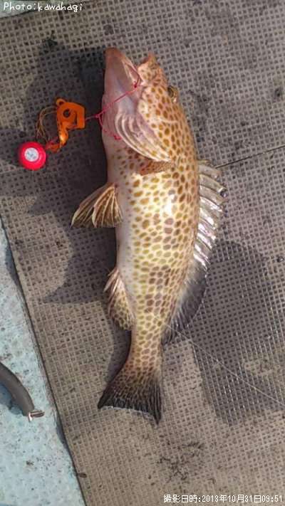 �������ϥ�