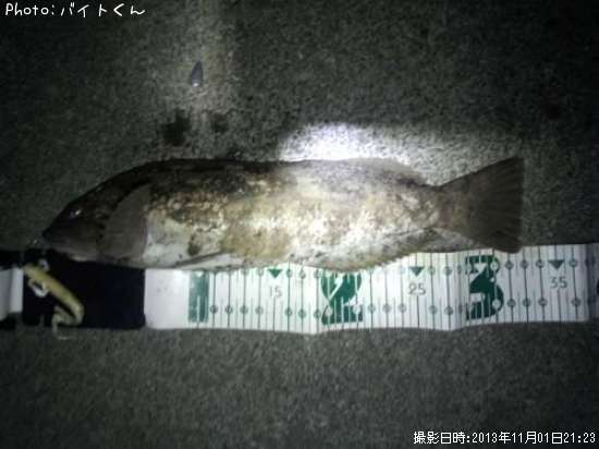 �����ʥ�