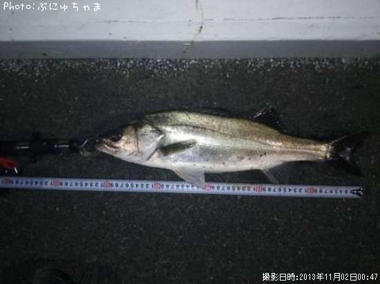 �����Х�