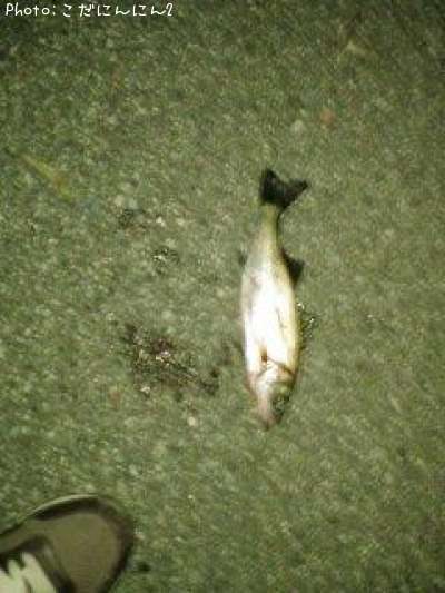 �����Х�