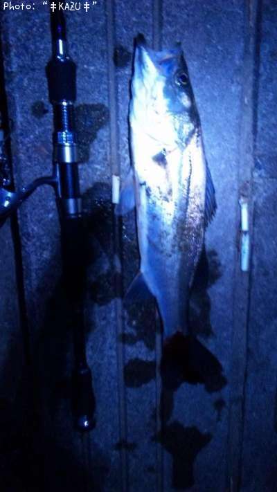 �����Х�