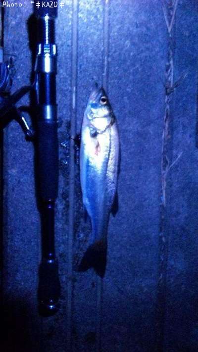 �����Х�