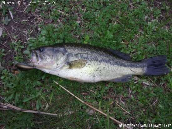 �֥�å��Х�