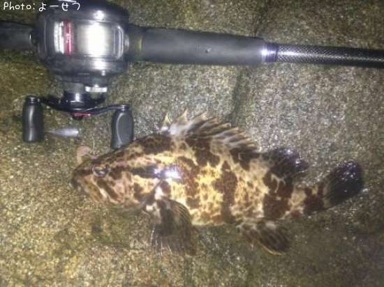 �����Υ���Х�