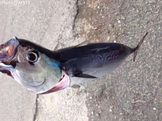 �ҥ饽����