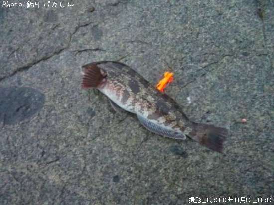 �����ʥ�