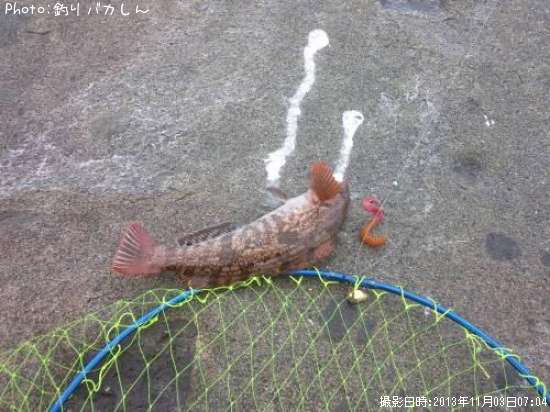 �����ʥ�