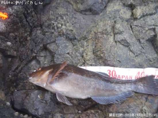 �����ʥ�