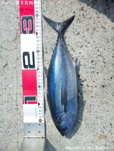 ���������ĥ�