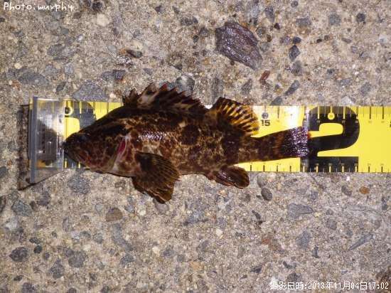 �����Υ���Х�